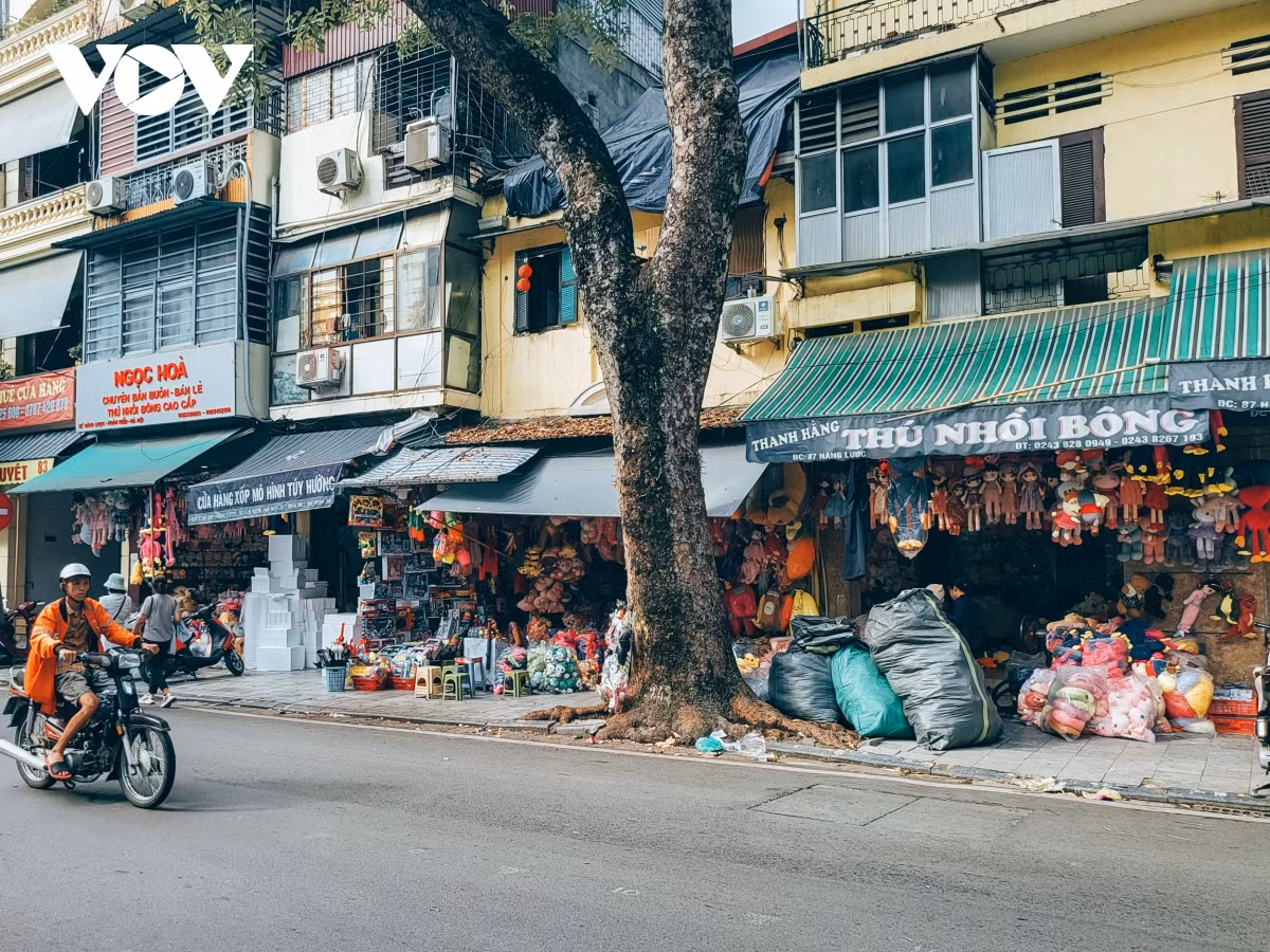 Pho do choi tre em o Ha Noi vang khach dip 1/6-Hinh-13