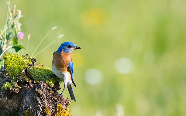 Sinh thang Am lich nao vuot duoc moi kho khan, tuong lai nhu y?-Hinh-3