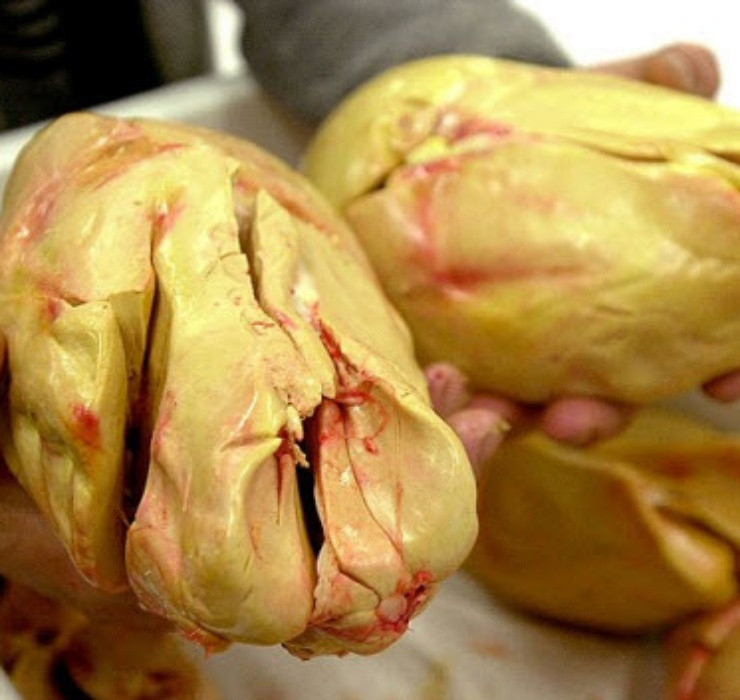 Để có thể đạt đến chất lượng gan hoàn hảo cho món ăn, những con ngỗng phải chịu cảnh bị ép ăn 3 lần một ngày.