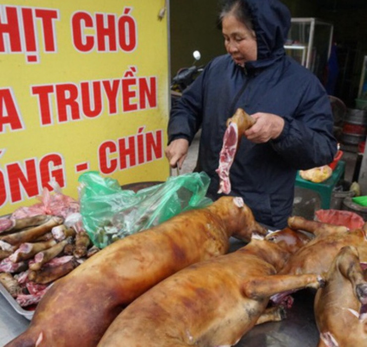Tuy nhiên đối với những quốc gia coi chó mèo như thành viên trong gia đình, điển hình là Mỹ, Áo và Thụy Sĩ, thì việc tiêu thụ thịt chó có thể khiến bạn bị xử phạt nặng.