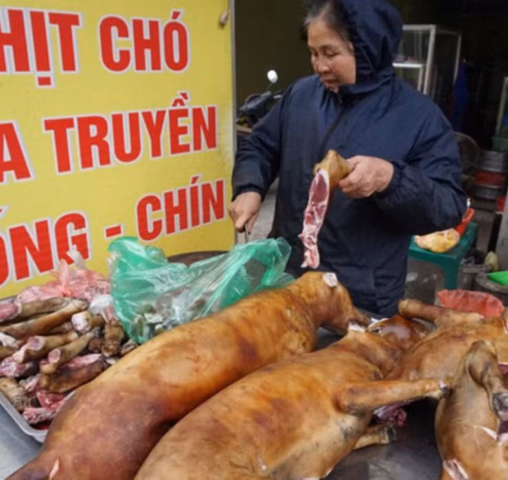 Tuy nhiên đối với những quốc gia coi chó mèo như thành viên trong gia đình, điển hình là Mỹ, Áo và Thụy Sĩ, thì việc tiêu thụ thịt chó có thể khiến bạn bị xử phạt nặng.