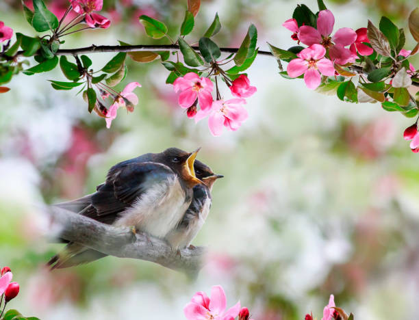 Nguoi sinh thang Am lich nay: Ben ngoai don gian, ben trong tri tue-Hinh-2