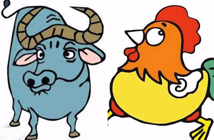 Tuy nhiên, cặp đôi này không phải lúc nào cũng hòa hợp do mâu thuẫn rất nhiều về quan điểm sống, dẫn đến cự cãi, đấu khẩu đến long trời lở đất.