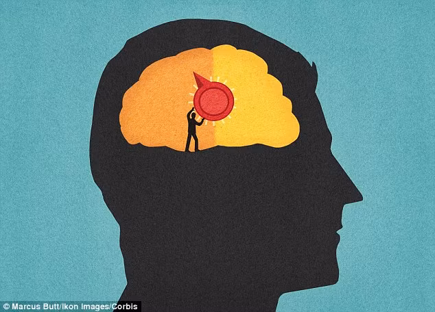 Vùng hạch nền (claustrum), có chức năng bật tắt như một công tắc.