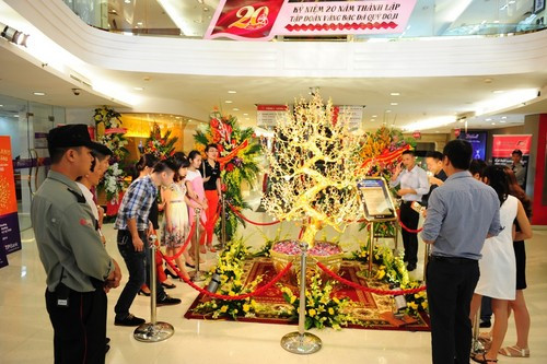 Các loại đá quý được sử dụng để tạo nên cây Thiên Kim Bách Ngọc đều mang ý nghĩa phong thủy là tượng trưng cho sự trường tồn, thịnh vượng, may mắn, cho nên công chúng đến chiêm ngưỡng Thiên Kim Bách Ngọc đều cố gắng để có thể có một tấm ảnh chụp bên cạnh bảo vật quý giá này trong dịp Tập đoàn DOJI trưng bày trong chương trình “Mở toang kho báu DOJI”.