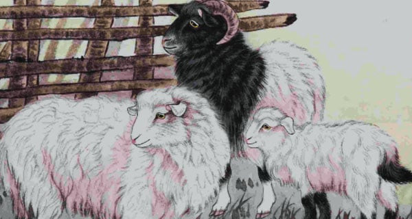 Tuổi Mùi. Mọi người thường có ấn tượng tốt với con giáp tuổi Mùi. Chính vì vậy mà sự phát triển của họ ngày càng được mở rộng, mạng lưới đối tác làm ăn ngày càng lớn, nhờ đó có thể nắm bắt được nhiều cơ hội để phát triển.