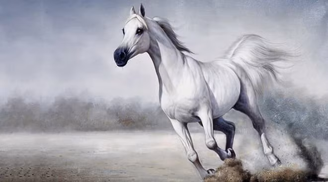 Nhờ vậy, họ không làm mất lòng người khác và biết vận dụng thông tin để giúp cho công việc làm ăn của mình có hiệu quả tốt hơn, có nhiều cơ hội mở rộng làm ăn.