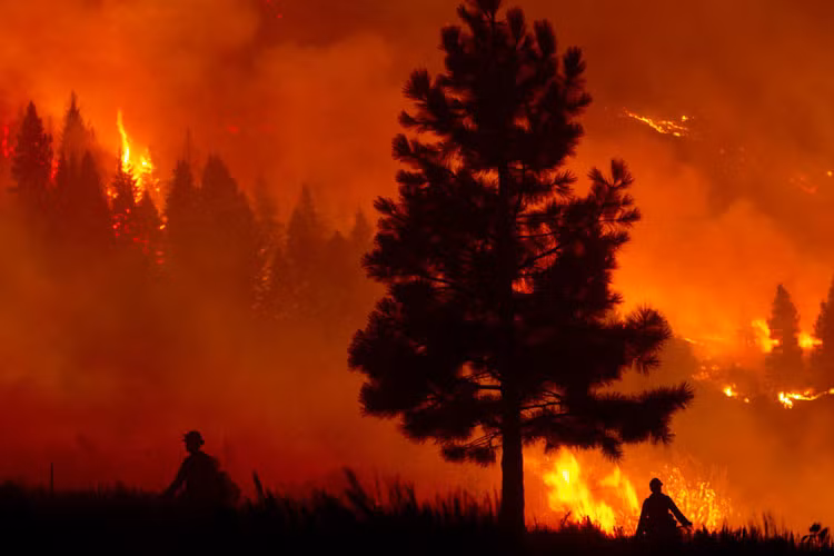 Trong khi đó, hơn 1.300 hộ gia đình chủ yếu sống ở phía bắc Hailey – vùng vành đai ngoài khu vực cháy rừng ở Thung lũng Mặt trời cũng nằm trong diện buộc phải sơ tán.