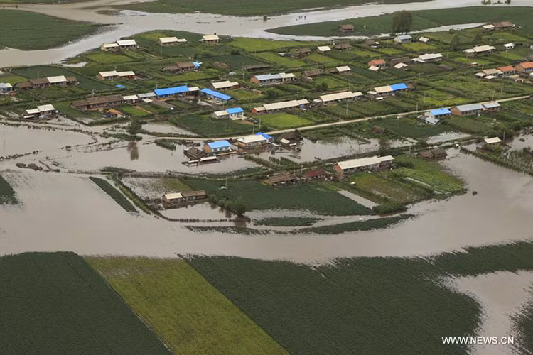 Khắp nơi đều là là nước lũ. Lũ lụt bao quanh và cô lập làng mạc ở tỉnh Hắc Long Giang.