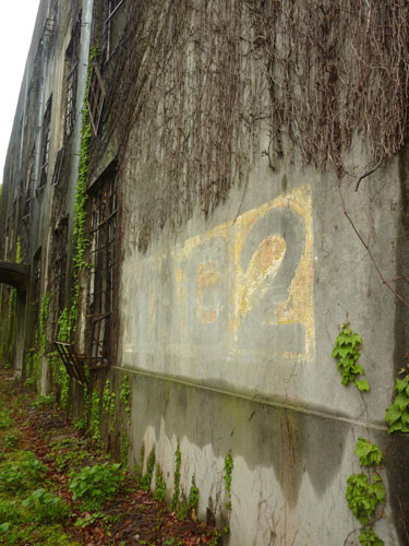 ... chơi golf với một sân golf nhỏ, hồ bơi, sân tennis và một khách sạn. Theo ước tính, Okunoshima thu hút 100.000 du khách hàng năm.