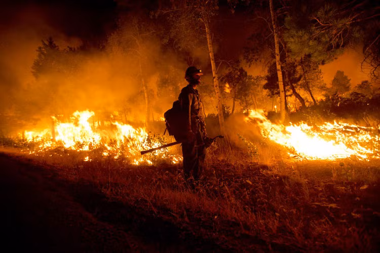 Hơn 1.600 nhân viên cứu hỏa hôm qua đã được điều động để bảo vệ nhà cửa, kiểm soát cháy rừng và tìm cách dập tắt các điểm cháy dữ dội và nguy hiểm nhất để đảm bảo ngọn lửa không lan tới phía đông của đường cao tốc nối liền các thị trấn và là lối thoát duy nhất ra khỏi thung lũng.