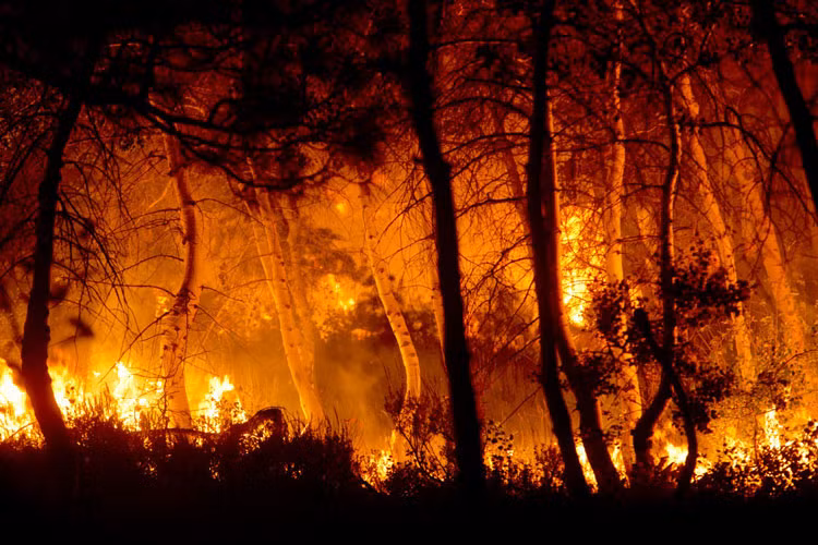 Tình hình cháy rừng được dự đoán sẽ tiếp tục phức tạp và nguy hiểm hơn khi nhiệt độ tăng cao và tác động của những luồng gió mạnh trong thời tiết khô hanh ở Idaho.