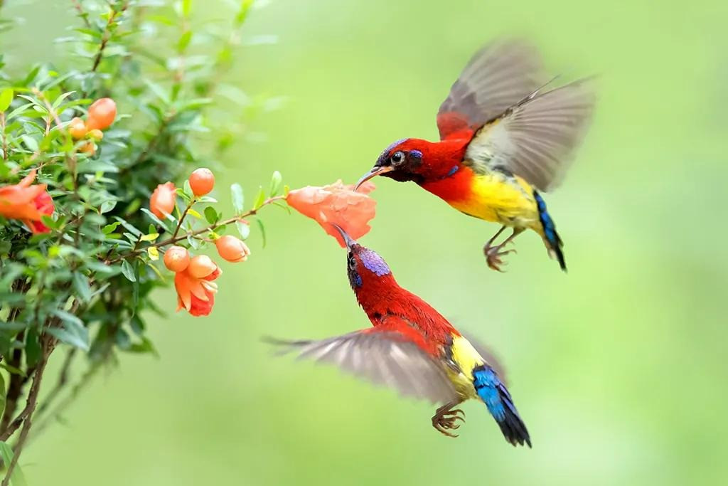 Tháng 4 Âm vô lo, 3 con giáp vượng vận may mắn, thu nhập tăng - Hình 2 Thang 4 Am vo lo, 3 con giap vuong van may man, thu nhap tang-Hinh-2