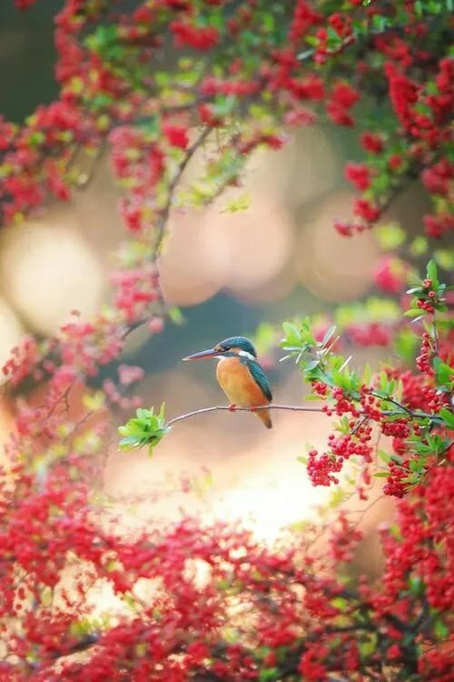 Tháng 4 Âm vô lo, 3 con giáp vượng vận may mắn, thu nhập tăng Thang 4 Am vo lo, 3 con giap vuong van may man, thu nhap tang