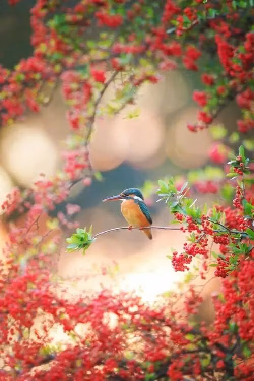 Thang 4 Am vo lo, 3 con giap vuong van may man, thu nhap tang