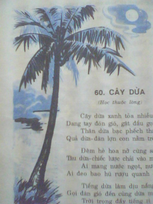 Hình minh họa bài thơ cây dừa