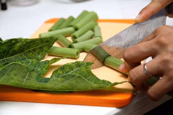 Theo GS Nguyễn Xuân Hiền, lá đu đủ có tác dụng rất tốt trong việc hộ trợ điều trị ung thư.