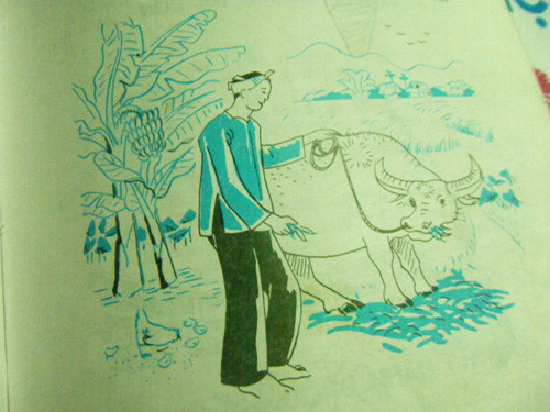 Ảnh minh họa cho câu ca dao "vỡ lòng" của học trò 8x: "Trâu ơi ta bảo trâu này/ Trâu ra ngoài ruộng trâu cày với ta".