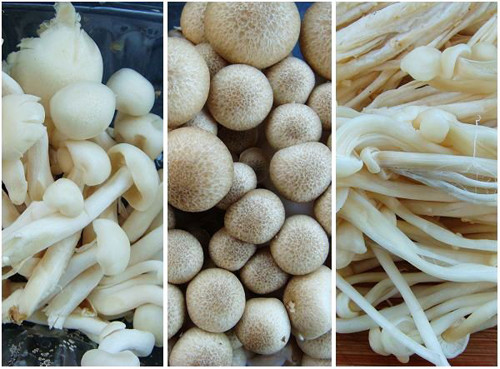 Nấm rất giàu vitamin B và sắt. Nó cũng được biết đến có khả năng chống lại bệnh tiểu đường, ngăn ngừa các khối u, chống oxy hóa, chống dị ứng, chiến đấu cholesterol và tăng khả năng miễn dịch.