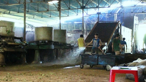 Ông H công nhân trong xưởng trà bà Hồng, tưới nước lên bột cám trà xanh trước khi trộn vào cối xay sáng 12-7. Loại bột cám ít chất làm tăng trọng lượng để kiếm thêm lợi nhuận - Ảnh: Chính Thành