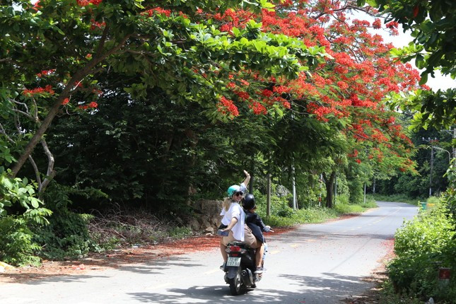 Nữ du khách ngẫu hứng tạo dáng trước ống kính phóng viên.