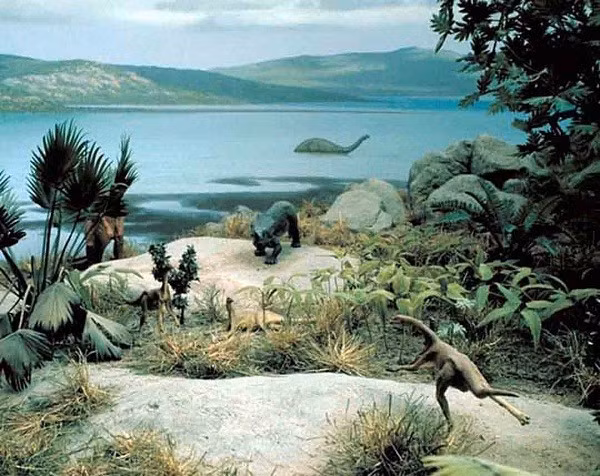 5. Tuyệt chủng Creta - Paleogen: Sự kiện tuyệt chủng này xảy ra vào cuối kỷ Creta cách đây khoảng 66,5 triệu năm, đánh dấu sự kết thúc của Đại Trung sinh và bắt đầu Đại Tân sinh bằng kỷ Paleogen. Khoảng 17% số họ, 50% số chi và 75% số loài đã bị tuyệt chủng sau biến cố này.