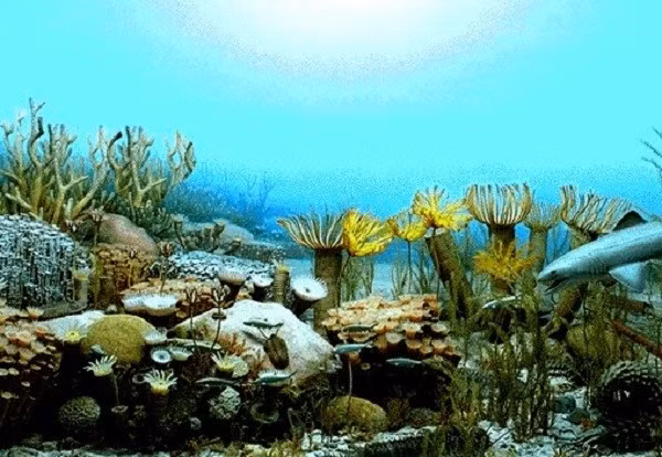 Theo nhà cổ sinh học McLaren, một thiên thạch có đường kính lớn đã va chạm với Trái đất, gây nên những đợt sóng thần, tàn phá hệ sinh thái bờ biển, đồng thời gây xáo trộn các tầng biển sâu. Một nguyên nhân khác là sự phát triển mạnh mẽ của thực vật đã làm giảm CO2, khiến khí hậu trở nên lạnh hơn, nhiều sinh vật không thích nghi được đã bị tiêu diệt. Các sinh vật biển là nạn nhân chủ yếu: những rạn san hô - ngôi nhà của sinh vật biển chết hàng loạt kéo theo sự tuyệt chủng của rất nhiều loài. Ước tính có khoảng 19% số họ, 50% số chi và 70 % số loài đã bị tuyệt diệt trong cuộc tuyệt chủng này.