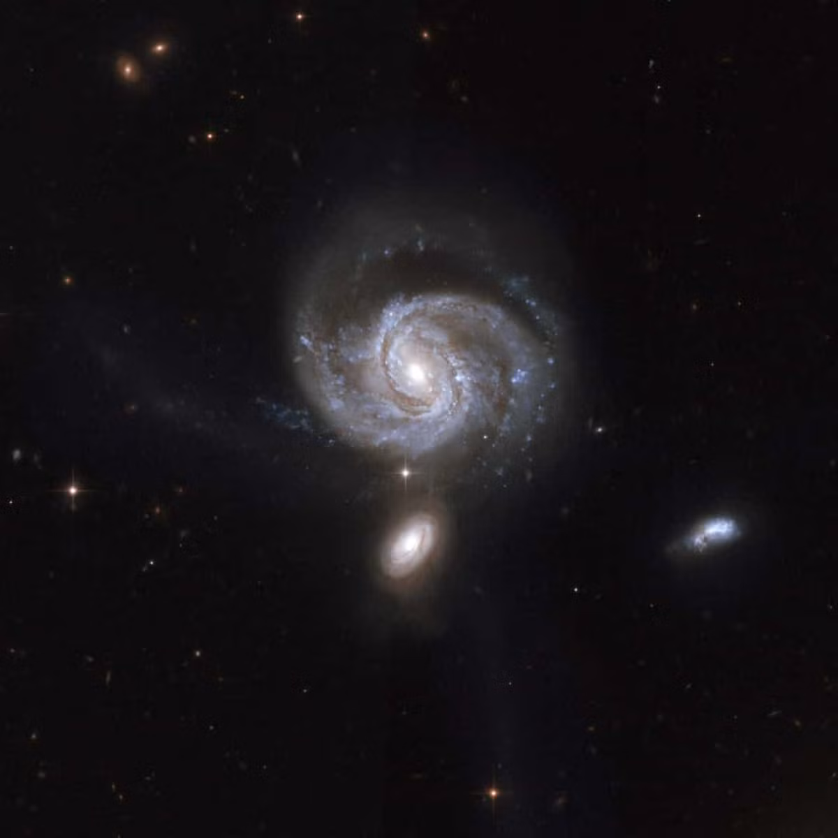 Thiên hà A2261-BCG được Kính Thiên văn Hubble phát hiện ra và nằm cách Trái Đất 3 tỷ năm ánh sáng. Đường kính của nó trải dài trên 1 triệu năm ánh sáng và nhân của nó trải dài trên 10.000 năm ánh sáng. Nhân của A2261-BCG được tạo thành từ một chòm sao lớn cổ xưa.