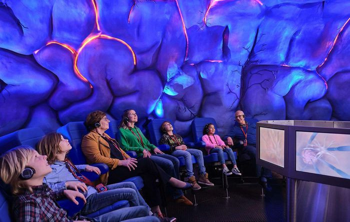 Kết thúc chuyến tham quan, du khách có thể tham gia trò chơi, làm các bài kiểm tra cơ thể của mình. Tầng trên của bảo tàng có nhiều hoạt động tương tác và quán cà phê phục vụ cả đồ ăn