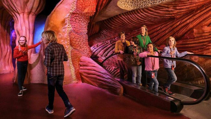 Giá vé vào bảo tàng là 16,5 euro cho người lớn và 14 euro cho trẻ em (từ 6 tuổi trở lên).