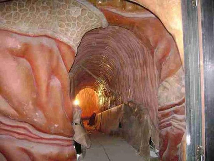 Du khách có thể thấy được tim, gan, phổi, thận cao gần 2 mét, tận mắt nhìn rõ từng các mô hình thành trong mạch máu, trong miệng, có thể cảm nhận được lưỡi mềm mại như thế nào hay từng chiếc răng được thiết kế đặc biệt.