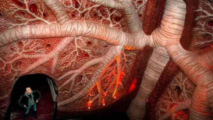 Bảo tàng Corpus là công trình về cơ thể con người duy nhất trên thế giới và được 25 chuyên gia y tế trong các lĩnh vực khác nhau công nhận về tính chính xác của từng vị trí bộ phận bên trong.