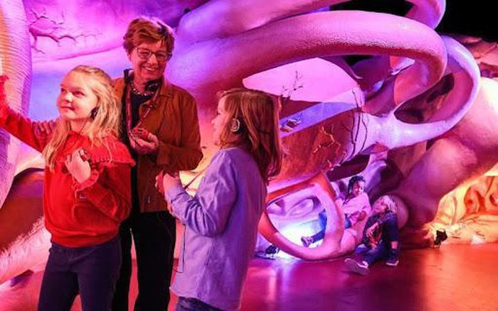 Sau khi được đưa lên bằng băng chuyền máy, cuộc khám phá sẽ bắt đầu từ vị trí đầu gối. Âm thanh, các hiệu ứng 5D và bản sao khổng lồ các bộ phận trong cơ thể người sẽ khiến khách tham quan có cảm giác như đang du hành xuyên qua một “cơ thể” thực sự.