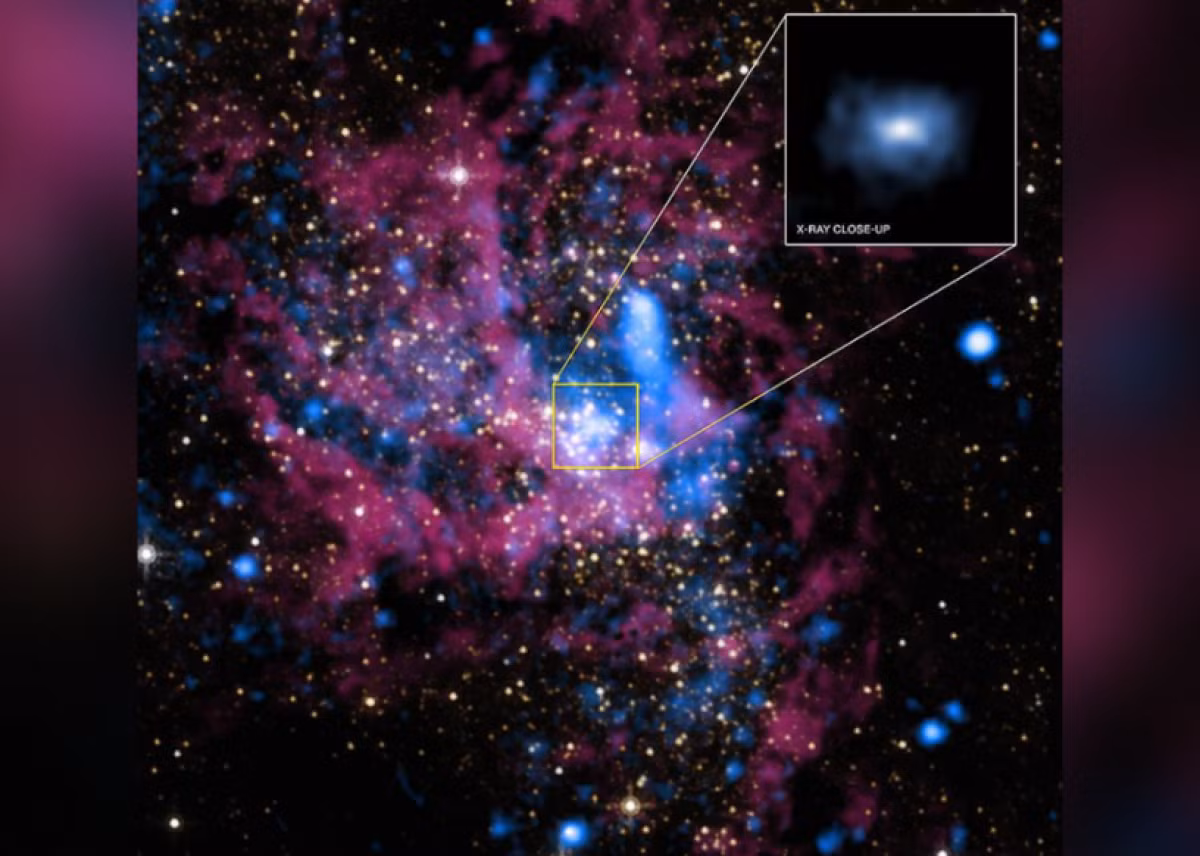 Các hố đen là những phần không thể nhìn thấy trong vũ trụ được tạo nên khi một ngôi sao chết đi. Lực hút của chúng mạnh tới nỗi nuốt chửng cả vật chất và ánh sáng. Kính thiên văn tia X Chandra của NASA gần đây đã phát hiện ra các hố đen "cực nặng" lớn gấp 10 lần so với thông thường và đang phát triển nhanh hơn cả những ngôi sao trong thiên hà của chúng. Phát hiện này đến từ các nhà vật lý thiên văn thuộc Đại học Montreal và Viện Khoa học Vũ trụ ở Tây Ban Nha.