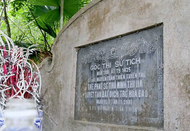 Sau khi vào Nghệ An, Lê Lợi đã hợp quân cùng Nguyễn Tuấn Thiện, thủ lĩnh đội quân “Cốc Sơn”. Hai người lập lời thề, kết nghĩa anh em tại Sơn Phúc, Hương Sơn, Hà Tĩnh. Cây thị gần 600 tuổi hiện vẫn còn tại đây.