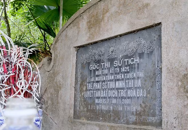 Sau khi vào Nghệ An, Lê Lợi đã hợp quân cùng Nguyễn Tuấn Thiện, thủ lĩnh đội quân “Cốc Sơn”. Hai người lập lời thề, kết nghĩa anh em tại Sơn Phúc, Hương Sơn, Hà Tĩnh. Cây thị gần 600 tuổi hiện vẫn còn tại đây.