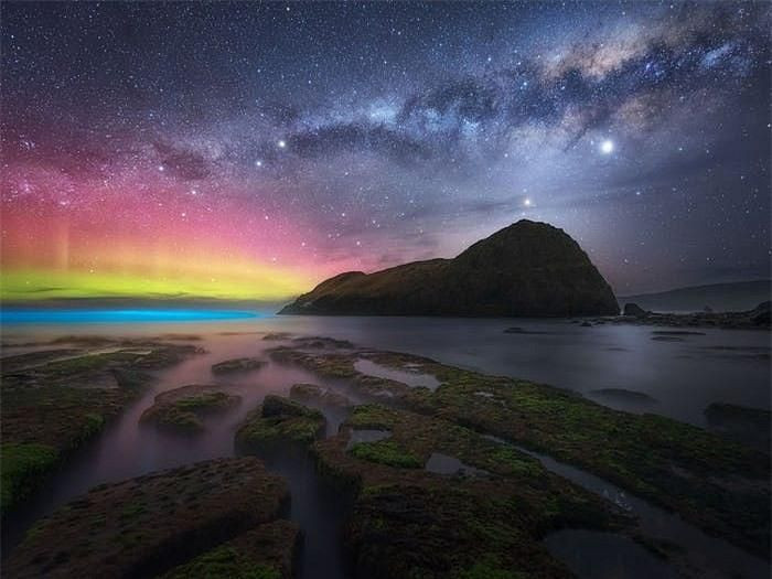 Ben Maze đã chụp bức ảnh "Phần thưởng của cuộc săn lùng" ở Tasmania, Australia.