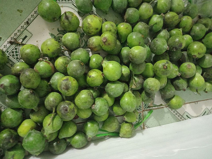 Mấy năm gần đây, thứ quả dại này "sốt" ở thành phố, được bán nhiều ở chợ mạng, chợ chung cư hay các cửa hàng rau truyền thống ở chợ.