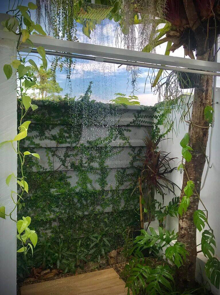 Gia chủ cũng trồn rất nhiều cây xanh ở khu vườn này.