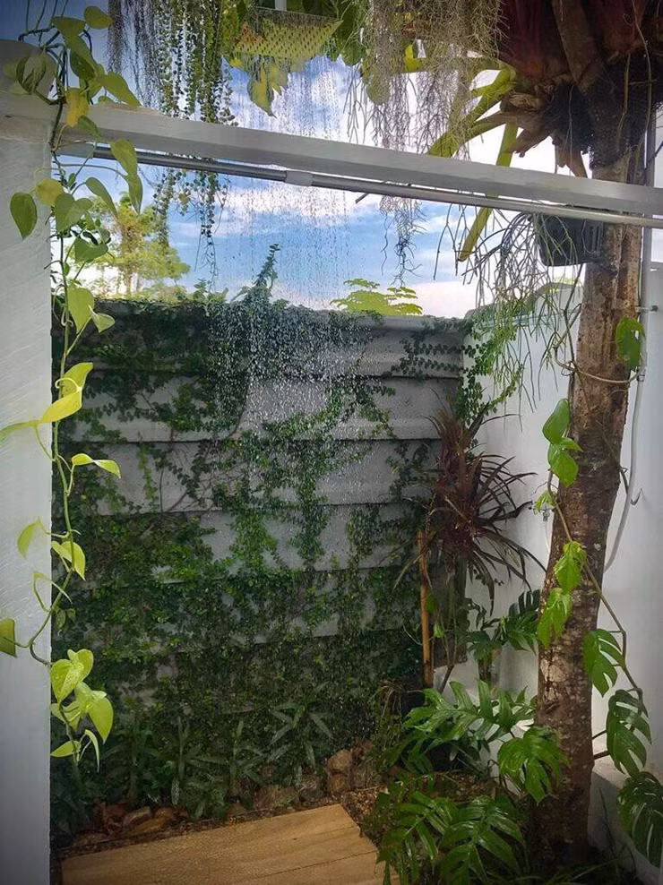 Gia chủ cũng trồn rất nhiều cây xanh ở khu vườn này.