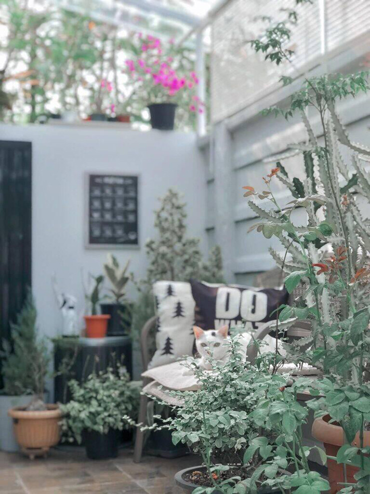 Khu vườn nhỏ phía sau được gia chủ đặt thêm bàn ghế để thư giãn.