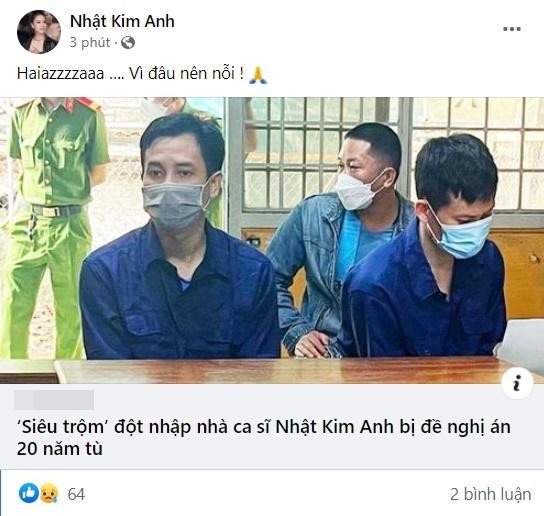 Ke 'khoang' 5 ty trong nha Nhat Kim Anh doi mat 20 nam tu-Hinh-3