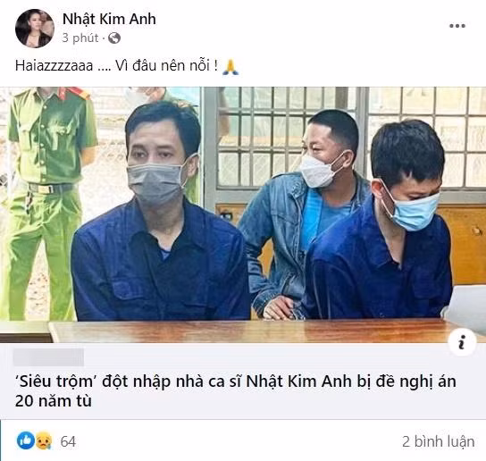 Ke 'khoang' 5 ty trong nha Nhat Kim Anh doi mat 20 nam tu-Hinh-3