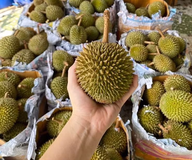 Sau ti hon Thai Lan do bo cho Viet, vua trai cay ban ngay nua tan-Hinh-3