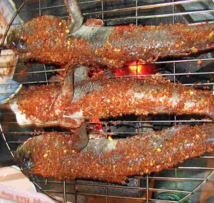 Phần thịt của cá thòi lòi rất mềm, thơm ngon lại rất ít xương, phần ruột, gan, trứng đều béo ngậy. Cũng bởi thế mà chúng trở thành một món đặc sản được rất nhiều người yêu thích.