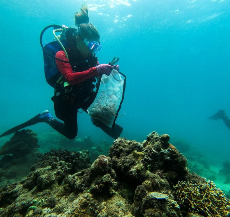 Các đồng tiền vàng được cho là đúc vào thế kỷ thứ 4 và thứ 5, hoa văn và ký tự nhỏ khắc trên mặt đồng tiền vô cùng sắc nét.