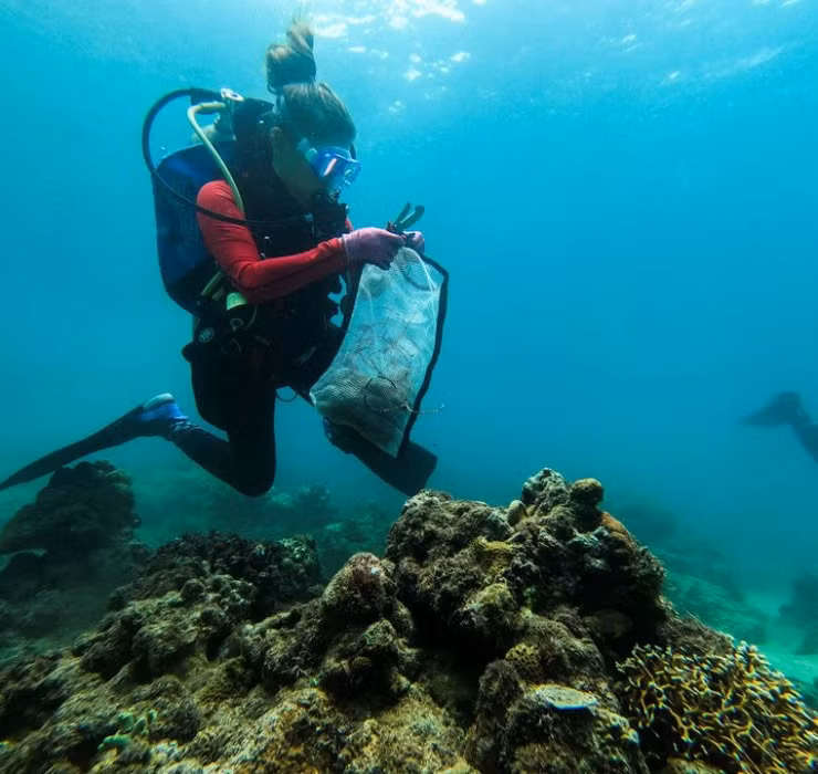 Các đồng tiền vàng được cho là đúc vào thế kỷ thứ 4 và thứ 5, hoa văn và ký tự nhỏ khắc trên mặt đồng tiền vô cùng sắc nét.