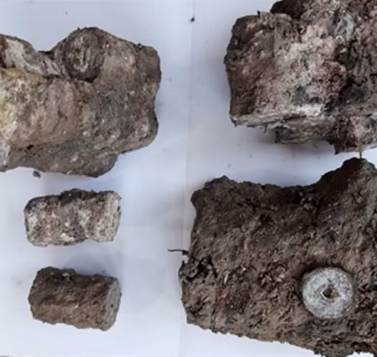 Theo đánh giá bước đầu, số tiền xu lên đến 770kg, tất cả được làm từ chất liệu đồng pha thiếc. Đây là tiền xu thuộc niên đại thời Gia Long (1802 - 1820) và Minh Mạng (1820 - 1840).