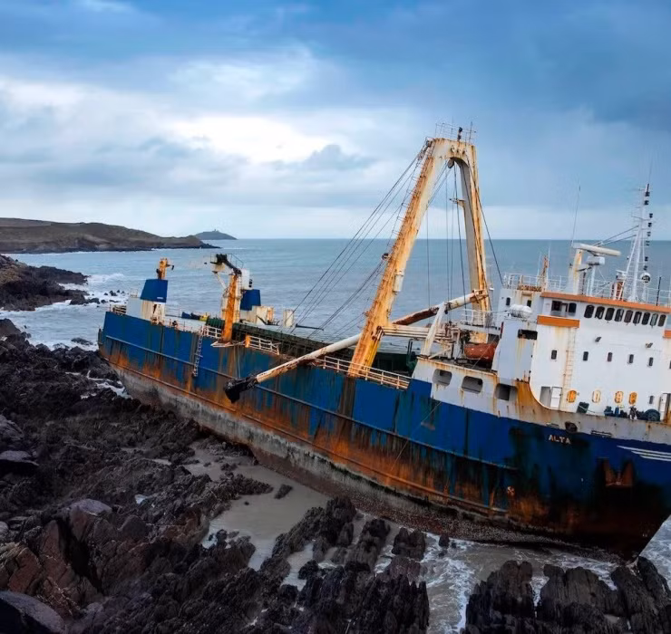 Hiện những đồng tiền vàng này đã được làm sạch và trưng bày tại một bảo tàng địa phương.