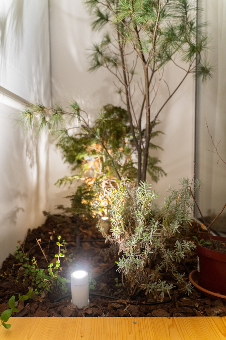 Ban công nhỏ nhưng được trồng nhiều cây xanh